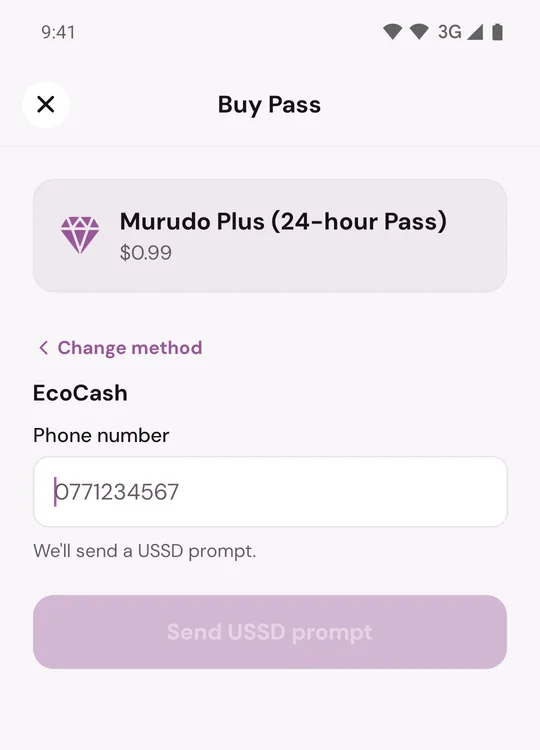 EcoCash chosen, with the Phone number box and the Send USSD prompt button