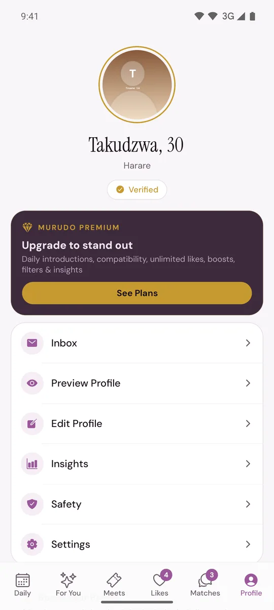 The Profile tab with Preview Profile, Edit Profile and Insights in the list