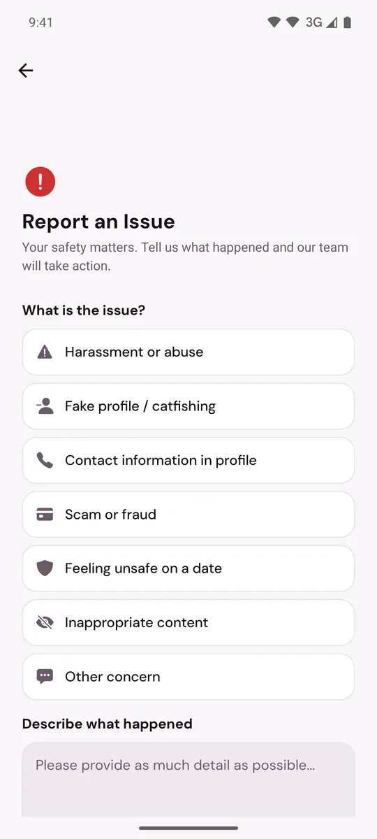 Report an Issue with the list of issue types, ending with Other concern